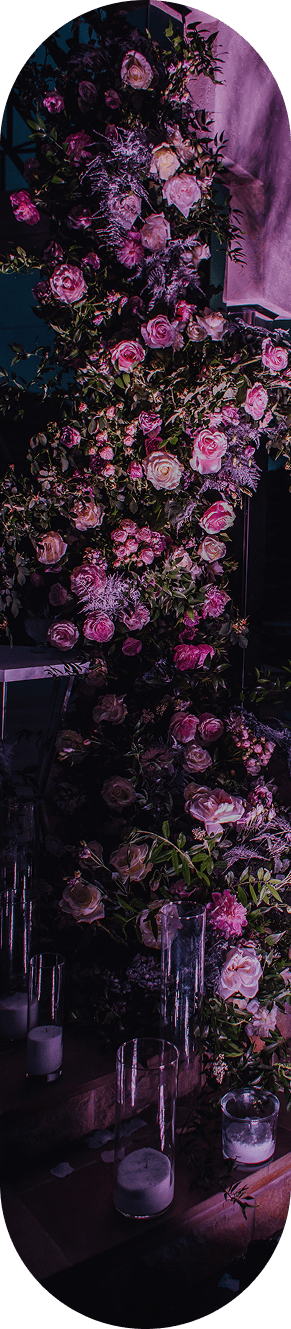 Floral arrangement with soft ambient lighting border